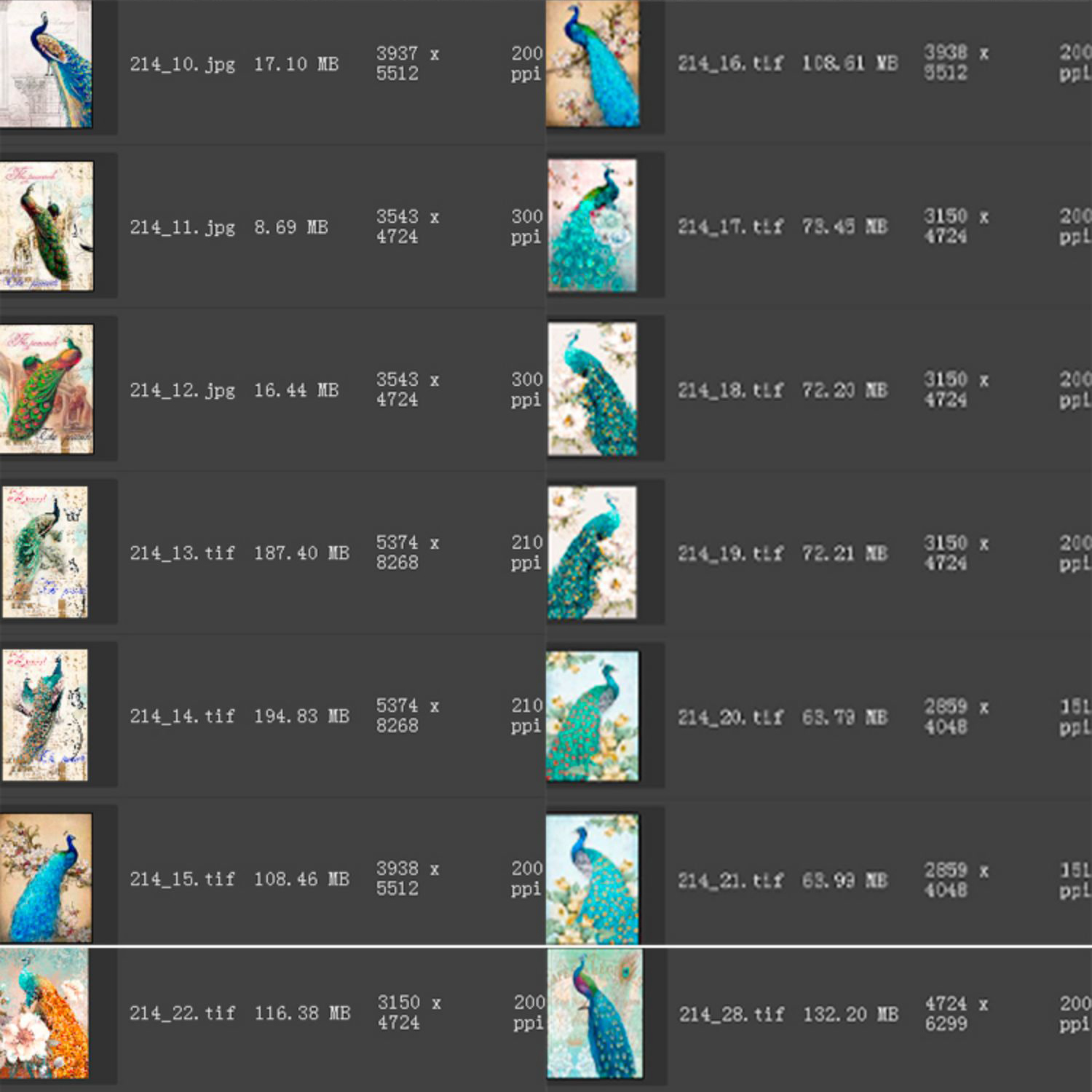 新中式工笔国画花开富贵牡丹孔雀古典欧式玄关装饰画素材图库