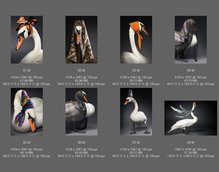 北欧简约现代围巾头巾天鹅客厅书房玄关轻奢装饰画图片画芯素