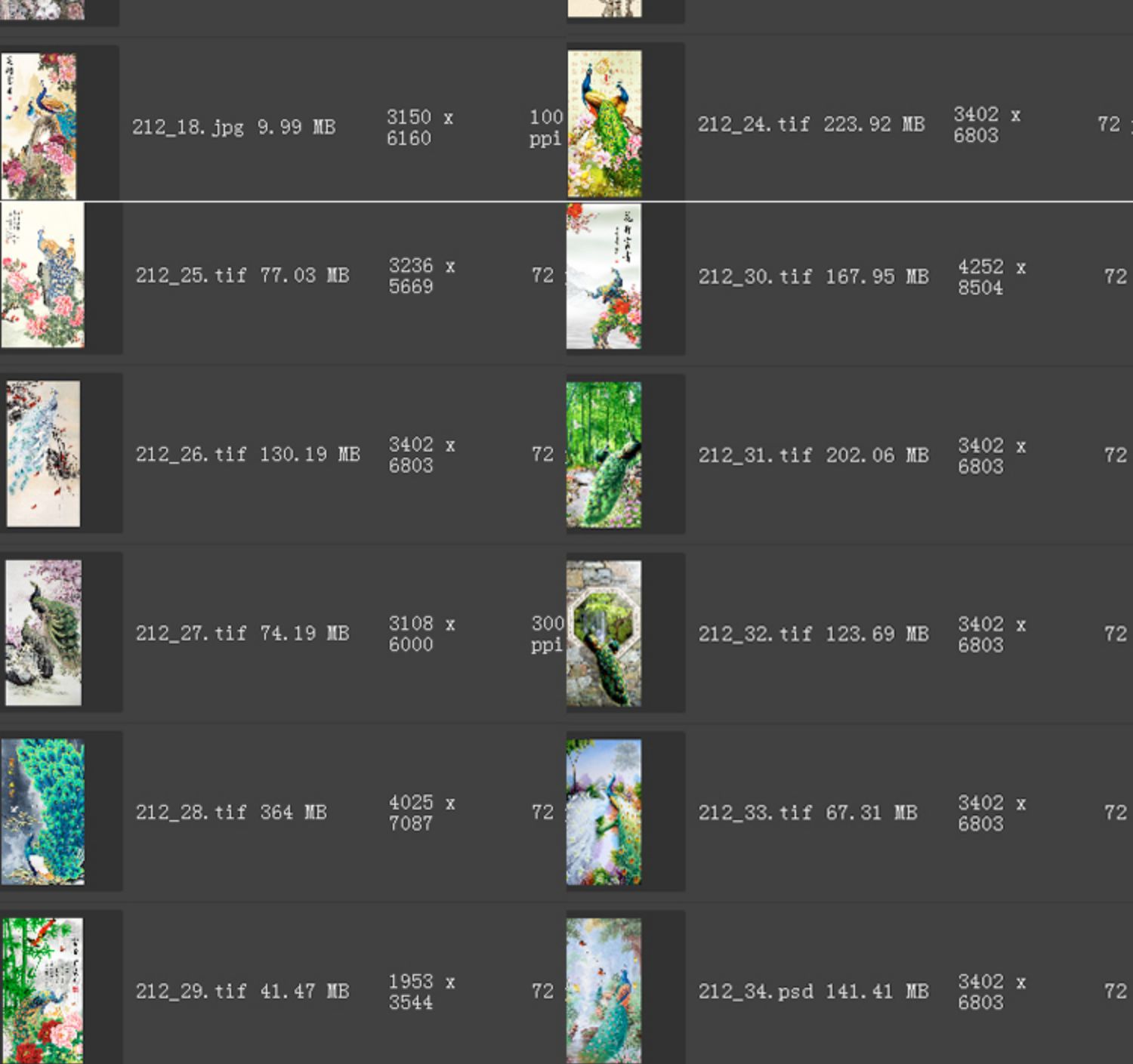 新中式工笔国画花开富贵牡丹孔雀古典欧式玄关装饰画素材图库