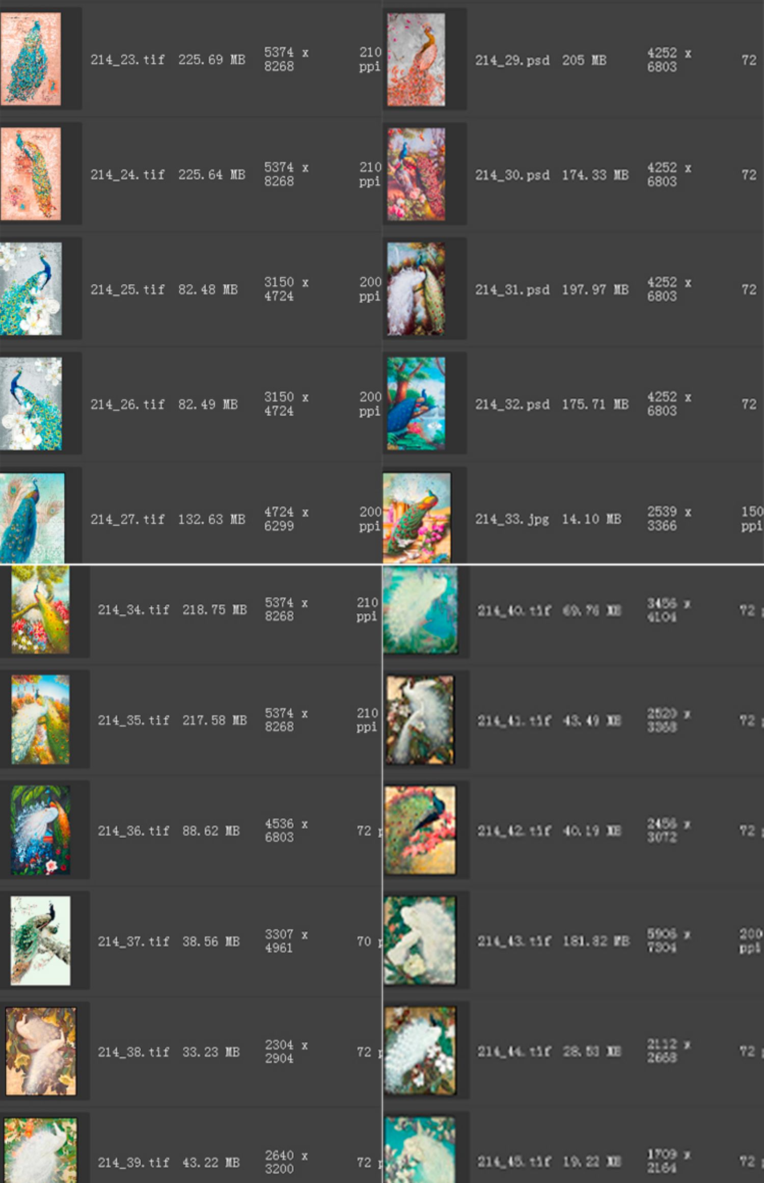 新中式工笔国画花开富贵牡丹孔雀古典欧式玄关装饰画素材图库