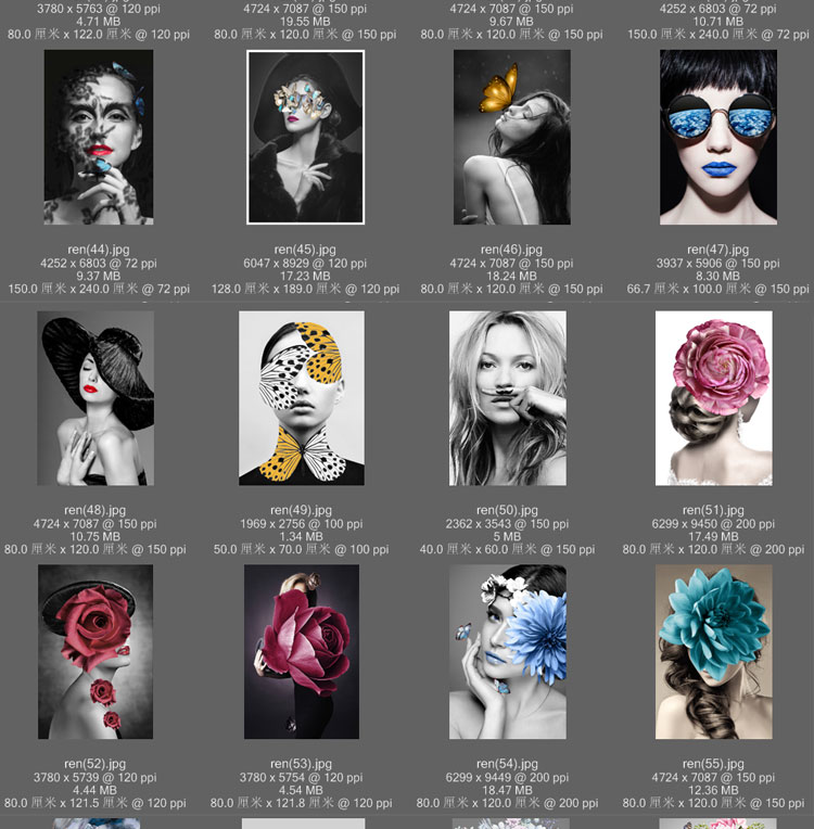 黑白背景装饰画素材高清画芯图库北欧人物动物风景三联画挂画