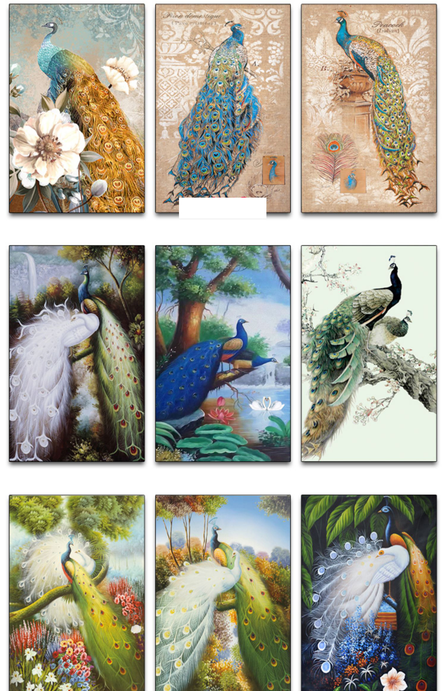 新中式工笔国画花开富贵牡丹孔雀古典欧式玄关装饰画素材图库