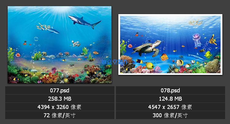 海底世界海洋世界电视背景墙图库3d立体图片壁画 psd模板ps素材