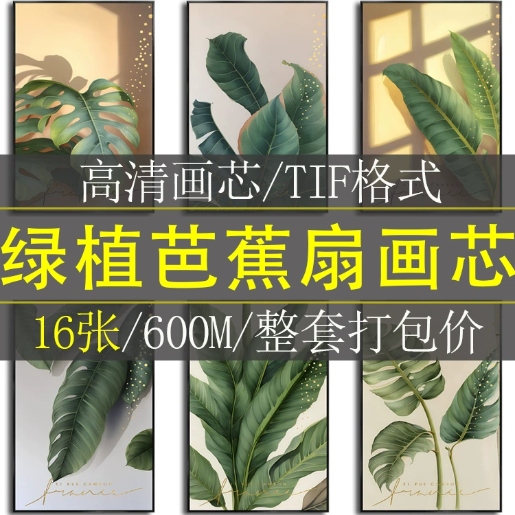 现代北欧侘寂家大业大热带绿植芭蕉叶玄关装饰画高清素材图库