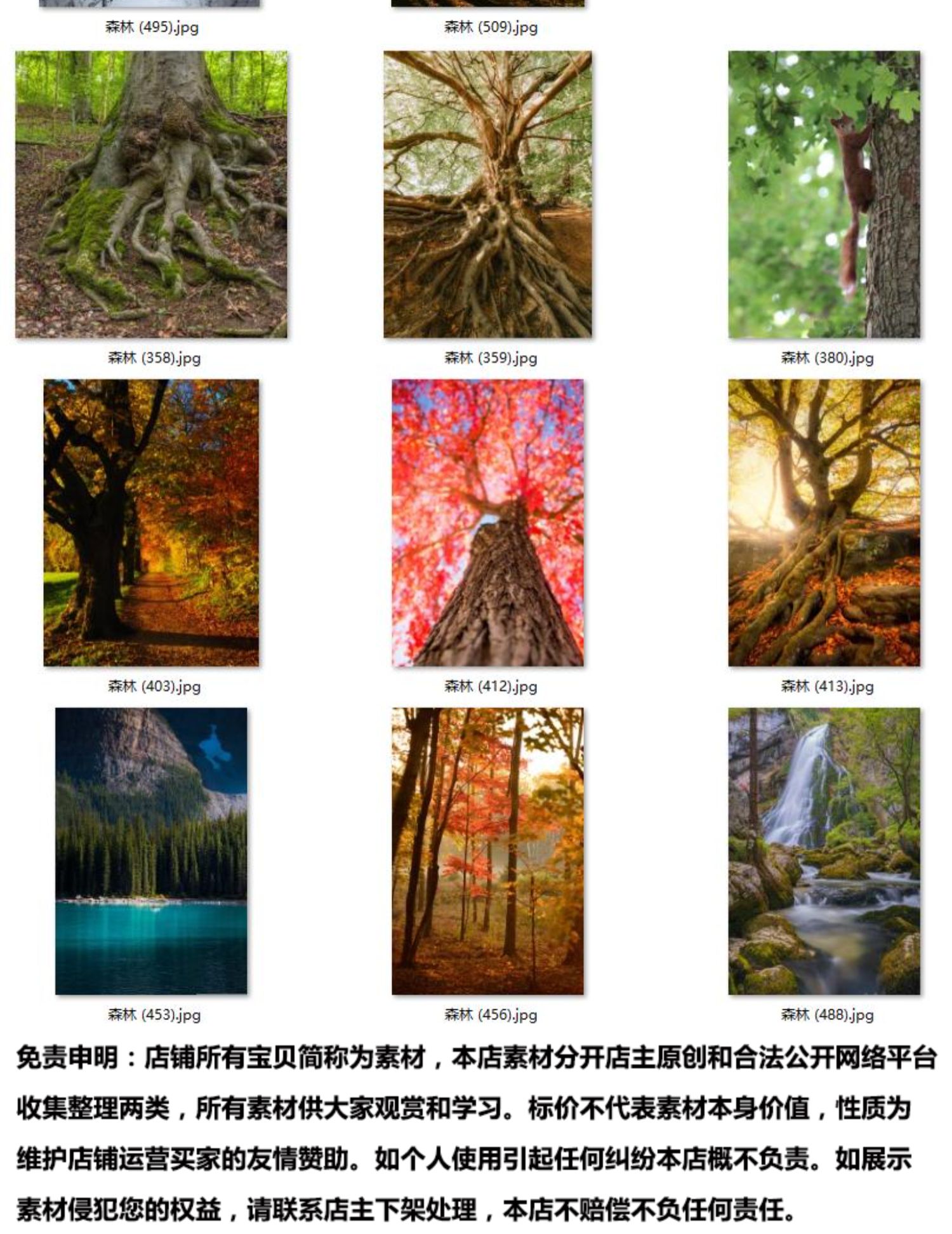 北欧风现代简约森林树木摄影风景玄关客厅装饰画高清挂画素材图库