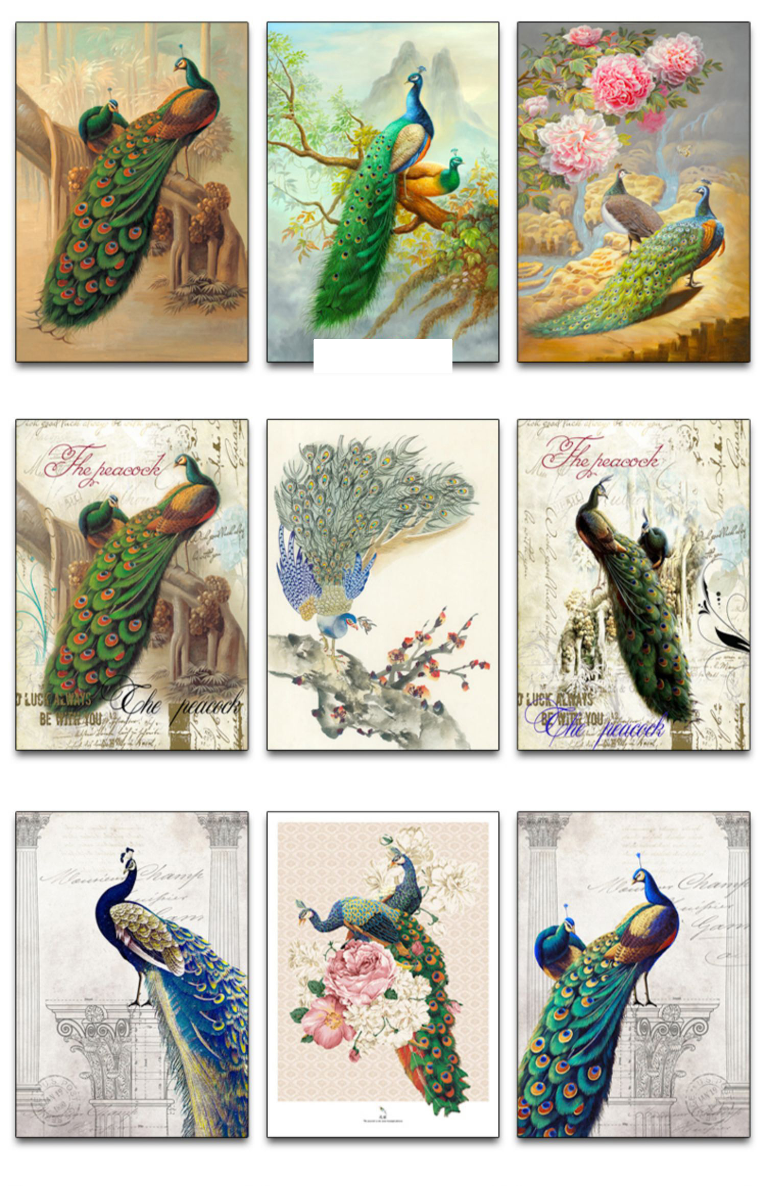 新中式工笔国画花开富贵牡丹孔雀古典欧式玄关装饰画素材图库