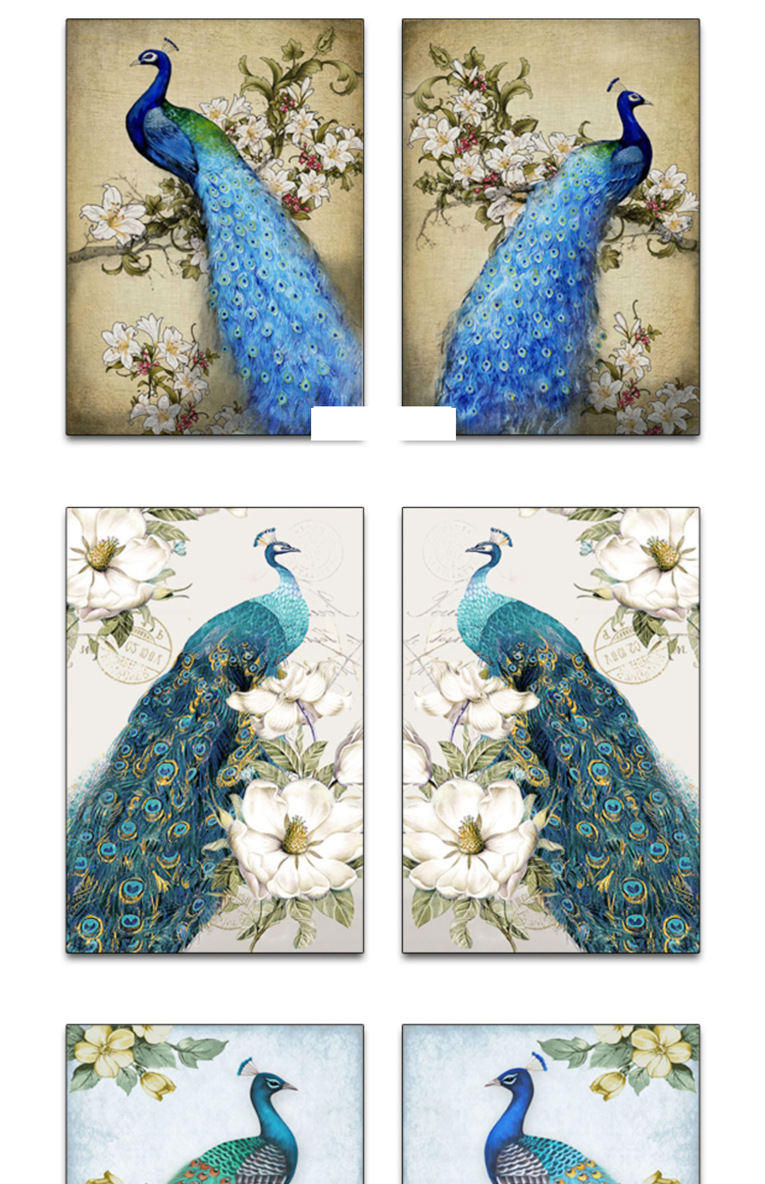 新中式工笔国画花开富贵牡丹孔雀古典欧式玄关装饰画素材图库